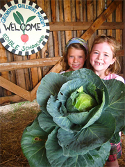 A giant cabbage grown in the Edible Schoolyard