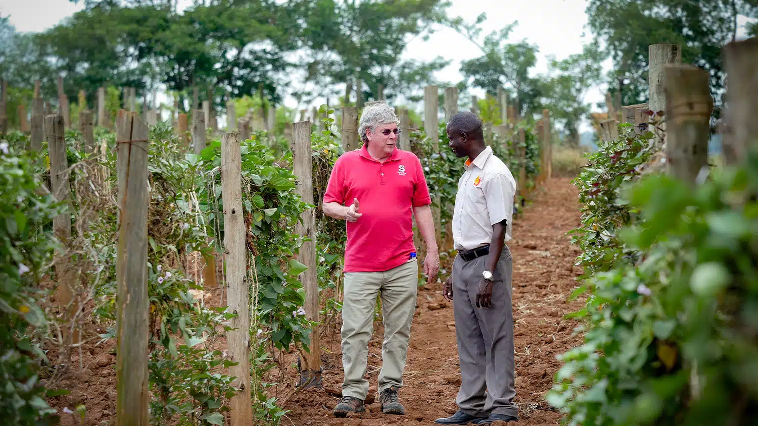 Craig Yencho speaks with an African researcher in a plot of crops.